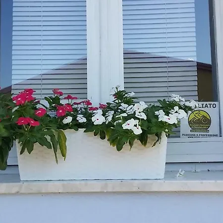 Casa Del Cicloturista * Santadi