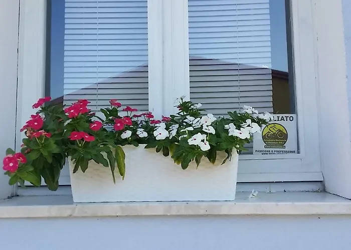 Casa Del Cicloturista * Santadi